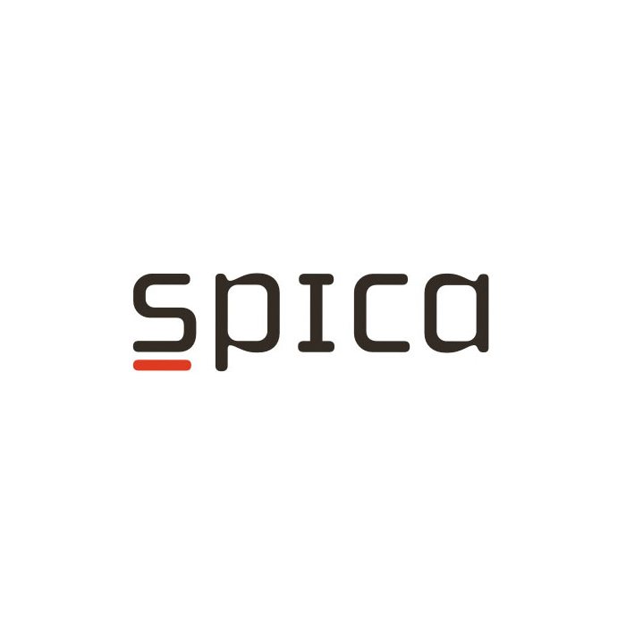 ПО TRASSIR Spica